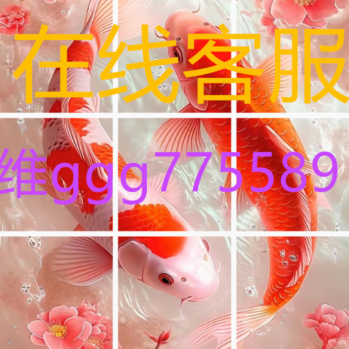 三大队海报封面