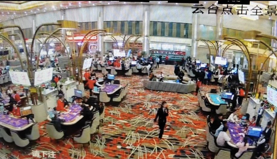 腾龙公司直属会员开户